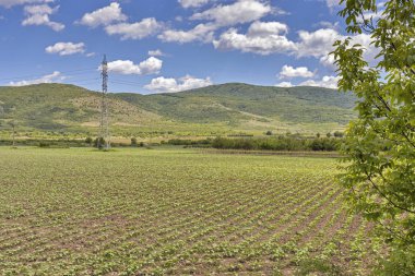 Perushtitsa kasabası yakınlarındaki Yukarı Trakya Ovası ile Kırsal Peyzaj, Plovdiv Bölgesi, Bulgaristan