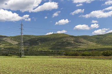 Perushtitsa kasabası yakınlarındaki Yukarı Trakya Ovası ile Kırsal Peyzaj, Plovdiv Bölgesi, Bulgaristan
