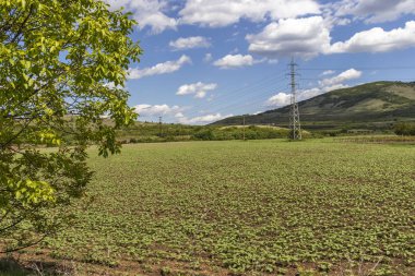 Perushtitsa kasabası yakınlarındaki Yukarı Trakya Ovası ile Kırsal Peyzaj, Plovdiv Bölgesi, Bulgaristan