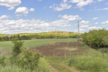 Perushtitsa kasabası yakınlarındaki Yukarı Trakya Ovası ile Kırsal Peyzaj, Plovdiv Bölgesi, Bulgaristan
