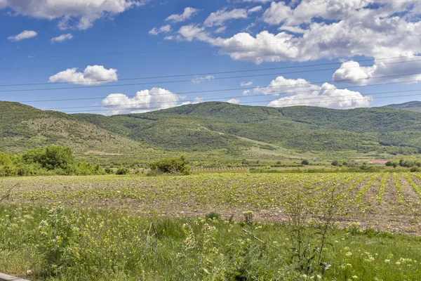 ブルガリア プロブディフ地方 ペルシュティサの町の近くに上のトラキア平原と農村風景 — ストック写真