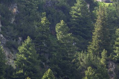 Malyovitsa zirvesi için iz Yaz Manzara, Rila Dağı, Bulgaristan