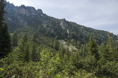 Malyovitsa zirvesi için iz Yaz Manzara, Rila Dağı, Bulgaristan