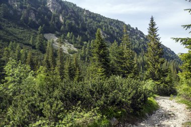 Malyovitsa zirvesi için iz Yaz Manzara, Rila Dağı, Bulgaristan