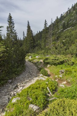 Malyovitsa zirvesi için iz Yaz Manzara, Rila Dağı, Bulgaristan