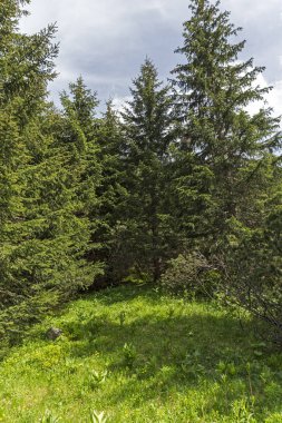 Malyovitsa zirvesi için iz Yaz Manzara, Rila Dağı, Bulgaristan