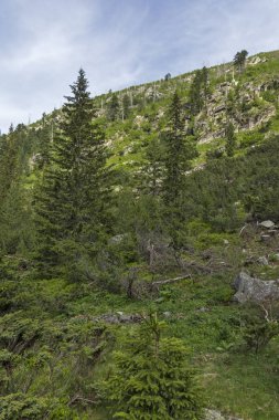 Malyovitsa zirvesi için iz Yaz Manzara, Rila Dağı, Bulgaristan