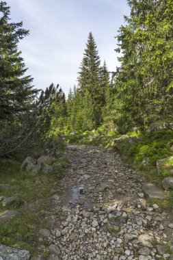 Malyovitsa zirvesi için iz Yaz Manzara, Rila Dağı, Bulgaristan