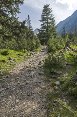 Malyovitsa zirvesi için iz Yaz Manzara, Rila Dağı, Bulgaristan