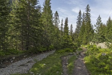 Malyovitsa zirvesi için iz Yaz Manzara, Rila Dağı, Bulgaristan