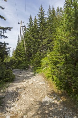 Malyovitsa zirvesi için iz Yaz Manzara, Rila Dağı, Bulgaristan