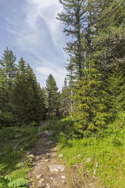 Malyovitsa zirvesi için iz Yaz Manzara, Rila Dağı, Bulgaristan