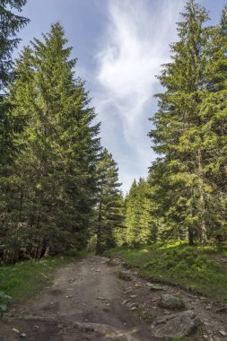 Malyovitsa zirvesi için iz Yaz Manzara, Rila Dağı, Bulgaristan