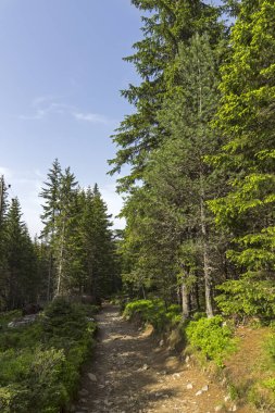 Malyovitsa zirvesi için iz Yaz Manzara, Rila Dağı, Bulgaristan
