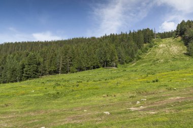 Malyovitsa zirvesi için iz Yaz Manzara, Rila Dağı, Bulgaristan