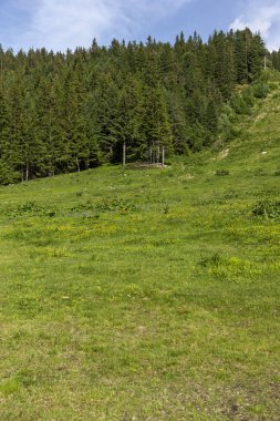 Malyovitsa zirvesi için iz Yaz Manzara, Rila Dağı, Bulgaristan