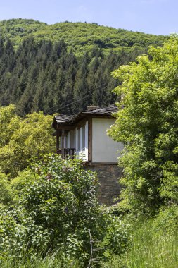 Köy Kosova ile orijinal on dokuzuncu yüzyıl evler, Plovdiv bölge, Bulgaristan