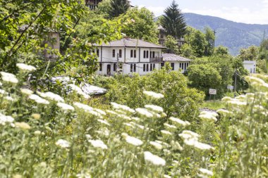 Köy Kosova ile orijinal on dokuzuncu yüzyıl evler, Plovdiv bölge, Bulgaristan