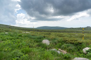 Vitosha Dağı'nın Muhteşem Yaz Manzarası, Sofya Şehir Bölgesi, Bulgaristan