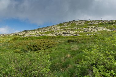 Vitosha Dağı'nın Muhteşem Yaz Manzarası, Sofya Şehir Bölgesi, Bulgaristan