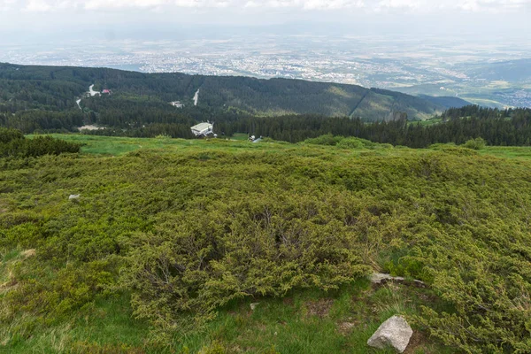 Erstaunliche Sommerlandschaft Des Vitosha Gebirges Sofia Stadtregion Bulgarien — Stockfoto