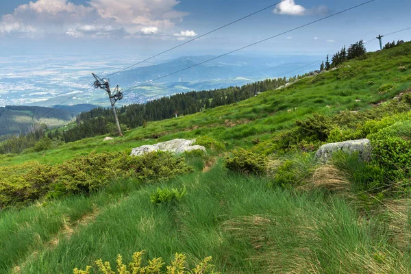 Erstaunliche Sommerlandschaft Des Vitosha Gebirges Sofia Stadtregion Bulgarien — Stockfoto