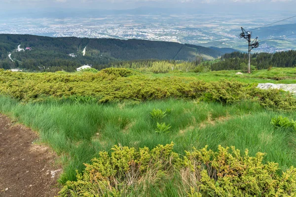 Amazing Summer Landscape Vitosha Mountain Sofia City Region Bulgaria — Stock Photo, Image