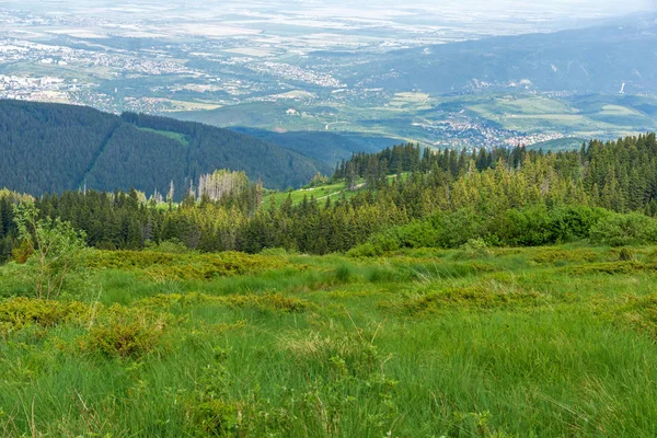 Erstaunliche Sommerlandschaft Des Vitosha Gebirges Sofia Stadtregion Bulgarien — Stockfoto