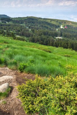 Vitosha Dağı'nın Muhteşem Yaz Manzarası, Sofya Şehir Bölgesi, Bulgaristan