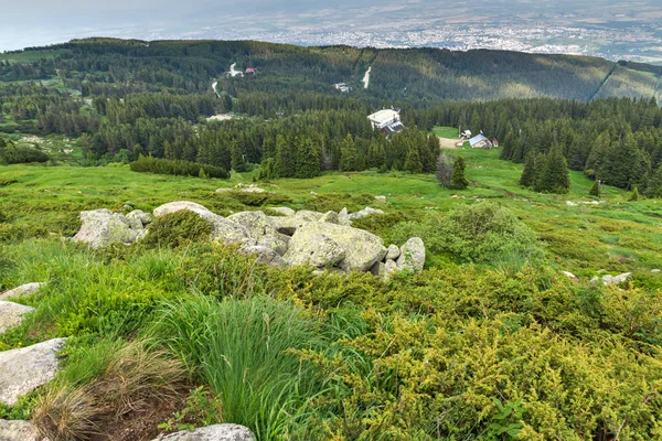 Удивительный Летний Пейзаж Горы Витоша Софийский Район Болгария — стоковое фото