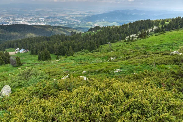 Erstaunliche Sommerlandschaft Des Vitosha Gebirges Sofia Stadtregion Bulgarien — Stockfoto