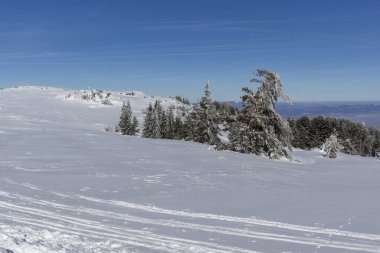 Vitosha Dağı 'nın kış manzarası, Sofya Şehir Bölgesi, Bulgaristan