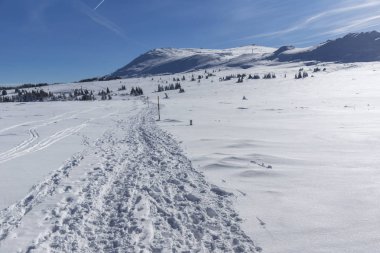Vitosha Dağı 'nın kış manzarası, Sofya Şehir Bölgesi, Bulgaristan