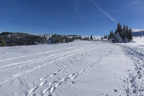 Paisaje Invernal Montaña Vitosha Región Ciudad Sofía Bulgaria —  Fotos de Stock