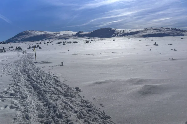 Χειμερινό Τοπίο Του Βουνού Vitosha Περιφέρεια Της Πόλης Της Σόφιας — Φωτογραφία Αρχείου