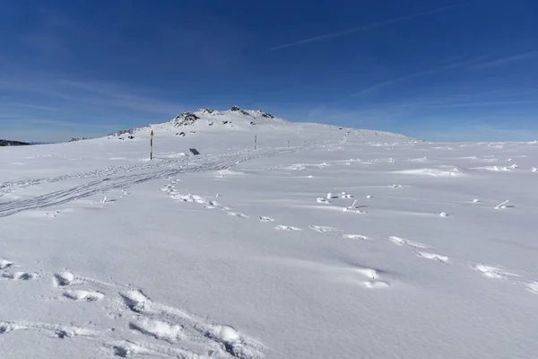 Χειμερινό Τοπίο Του Βουνού Vitosha Περιφέρεια Της Πόλης Της Σόφιας — Φωτογραφία Αρχείου
