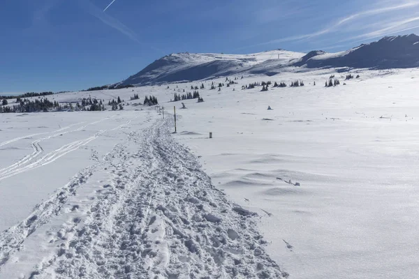 Winterlandschaft Des Vitosha Gebirges Stadtgebiet Sofia Bulgarien — Stockfoto