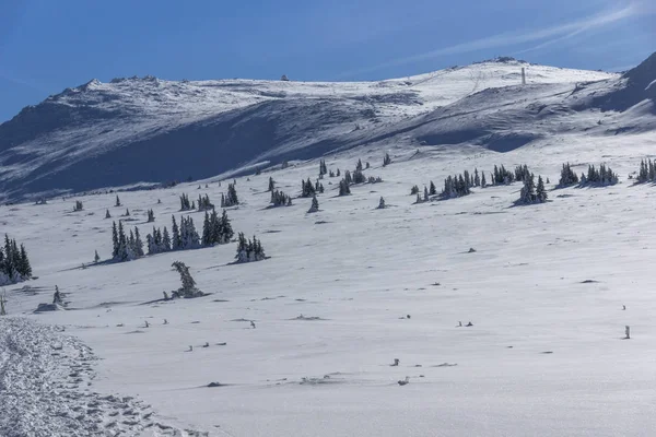Zimowy Krajobraz Góry Vitosha Obwód Sofijski Bułgaria — Zdjęcie stockowe