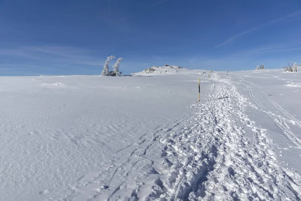 Χειμερινό Τοπίο Του Βουνού Vitosha Περιφέρεια Της Πόλης Της Σόφιας — Φωτογραφία Αρχείου