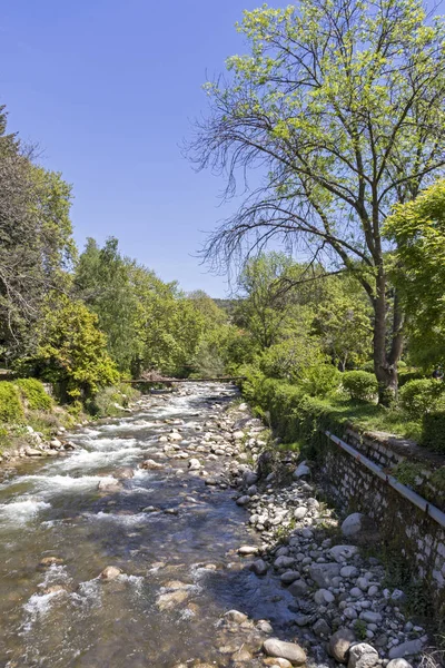 Sandanski Bulgaria Aprile 2019 Fiume Sandanska Bistritsa Che Attraversa Una — Foto Stock