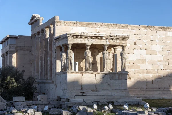 Atina Akropolis Teki Erechtheion Daki Caryatids Porşonu Attica Yunanistan — Stok fotoğraf