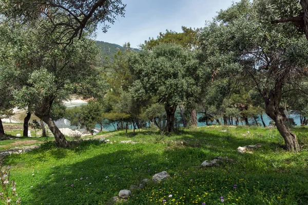 Ruinas Zona Arqueológica Aliki Isla Tasos Macedonia Oriental Tracia Grecia — Foto de Stock