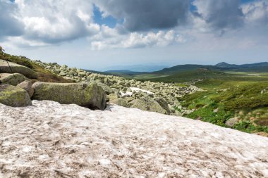 Vitosha Dağı'nın yeşil tepeli Yaz Manzarası, Sofya Şehir Bölgesi, Bulgaristan