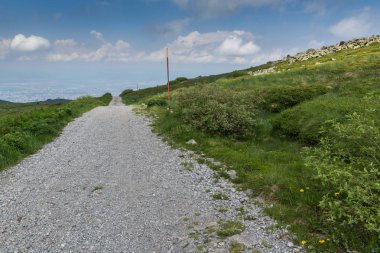 Vitosha Dağı'nın yeşil tepeli Yaz Manzarası, Sofya Şehir Bölgesi, Bulgaristan