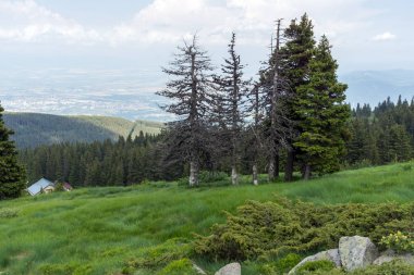 Vitosha Dağı'nın yeşil tepeli Yaz Manzarası, Sofya Şehir Bölgesi, Bulgaristan