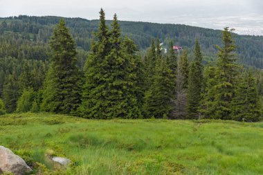 Vitosha Dağı'nın yeşil tepeli Yaz Manzarası, Sofya Şehir Bölgesi, Bulgaristan