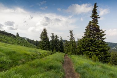 Vitosha Dağı'nın yeşil tepeli Yaz Manzarası, Sofya Şehir Bölgesi, Bulgaristan