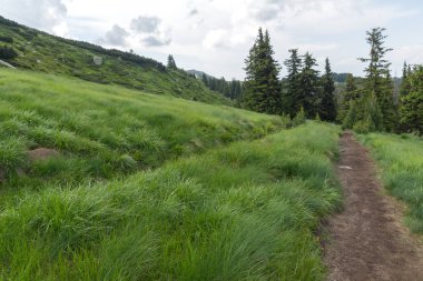Vitosha Dağı'nın yeşil tepeli Yaz Manzarası, Sofya Şehir Bölgesi, Bulgaristan