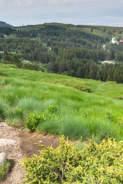 Paisaje Verano Con Colinas Verdes Montaña Vitosha Región Ciudad Sofía — Foto de Stock