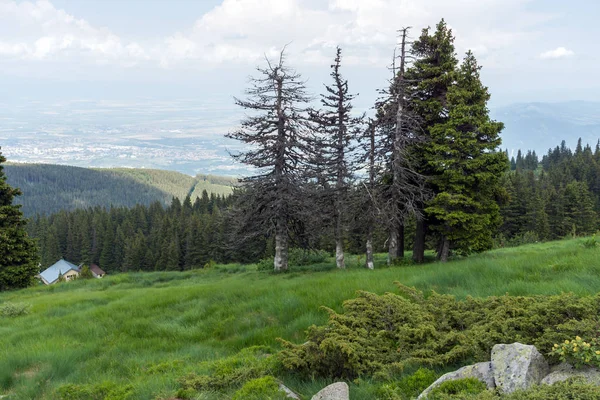 Sommerlandschaft Mit Grünen Hügeln Des Vitosha Gebirges Sofia Stadtregion Bulgarien — Stockfoto